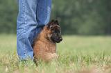 ADULTE ET CHIEN 427